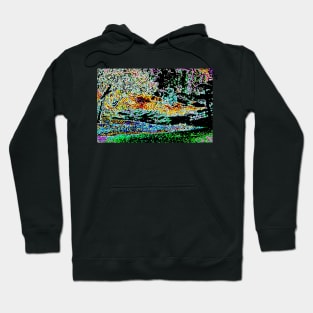 Day to Night Hoodie